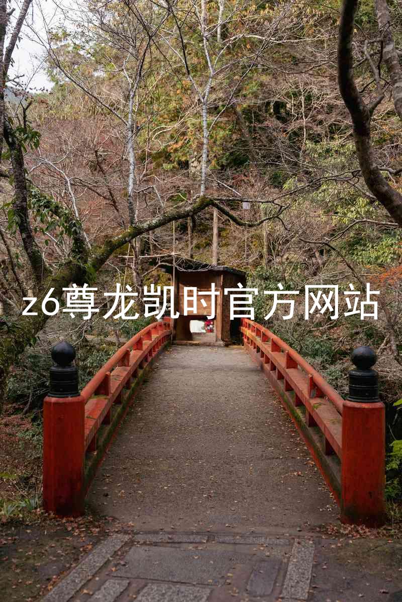 z6尊龙凯时官方网站