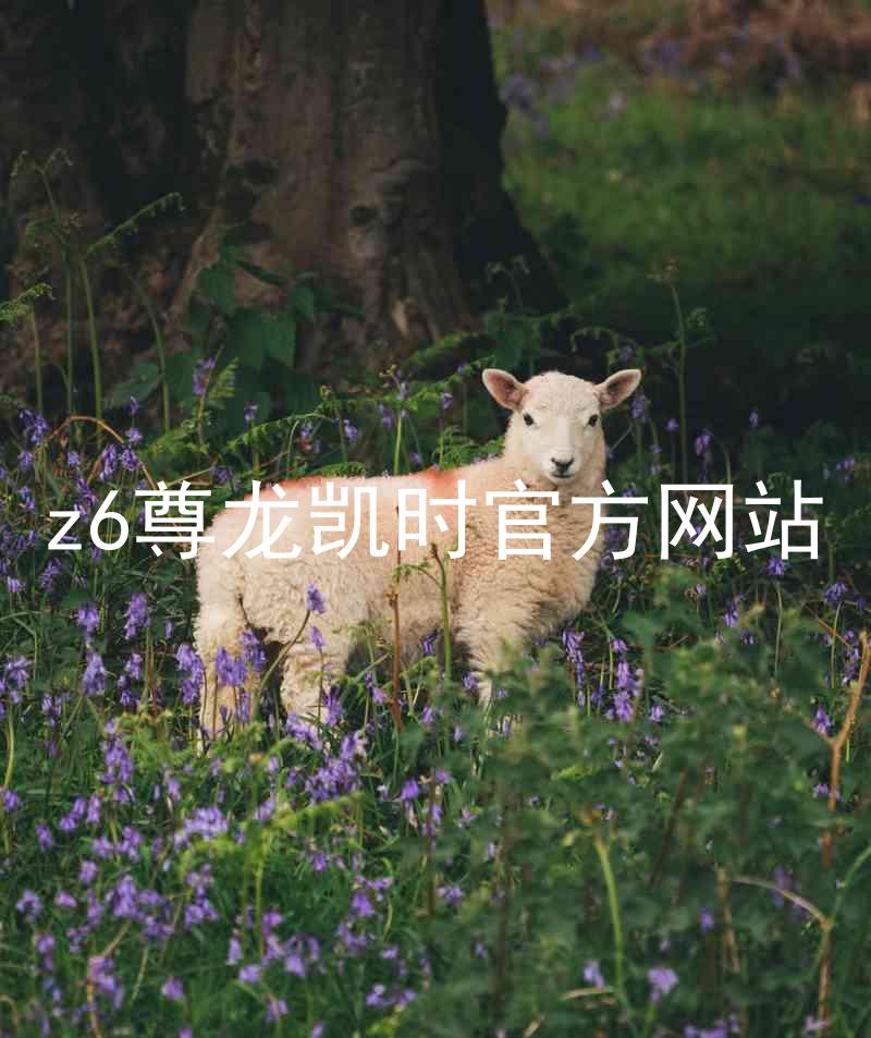 z6尊龙凯时官方网站